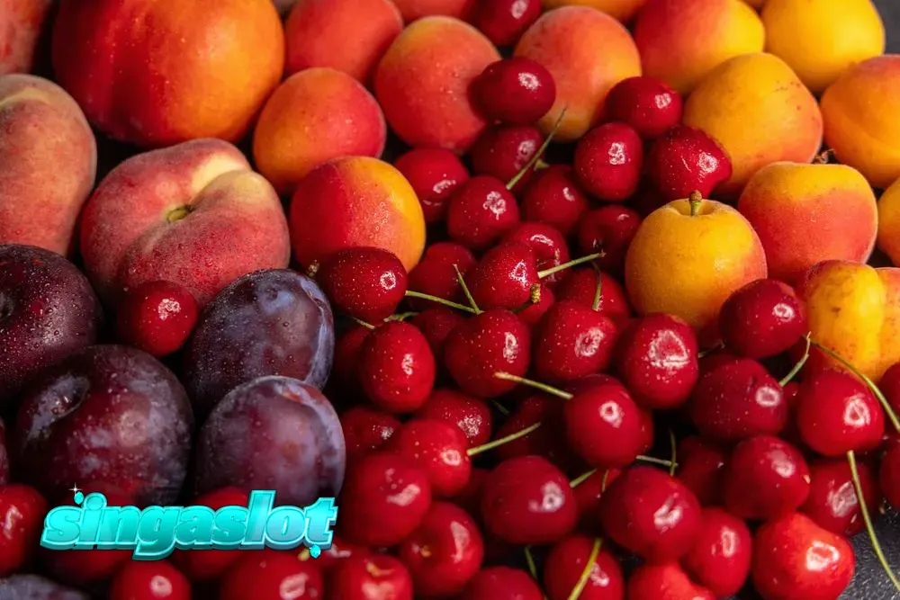 Tampilan visual dari berbagai judul slot Amusnet terbaru yang menampilkan tema buah dan mekanisme modern.